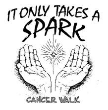18th Annual It Only Takes A Spark Cancer Walk Results