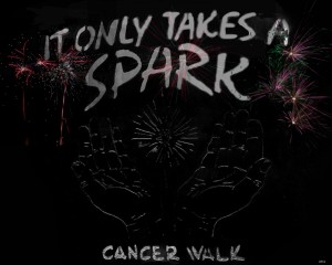 Cancer Walk 2014 (800x640)